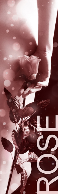 Status Rose - Honorarübersicht Escort Nürnberg Status Rose - Honorarübersicht Escort Nürnberg