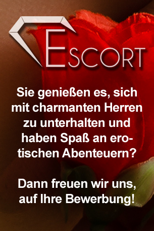 Job als Escort