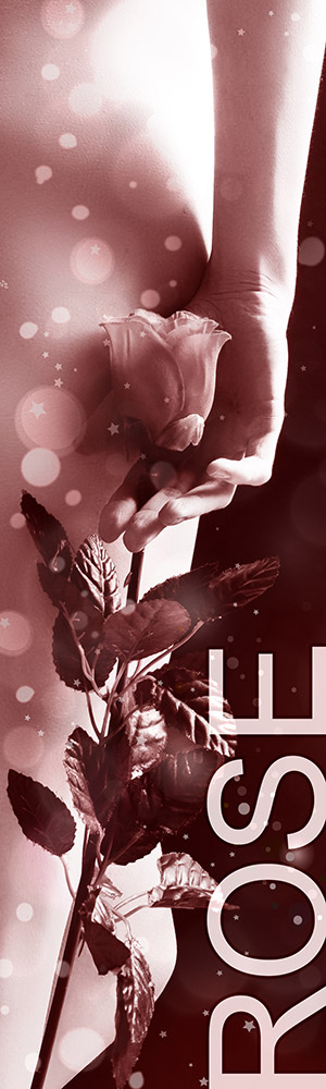 Honorar Status Rose - Escort Nürnberg Honorar Status Rose - Escort Nürnberg